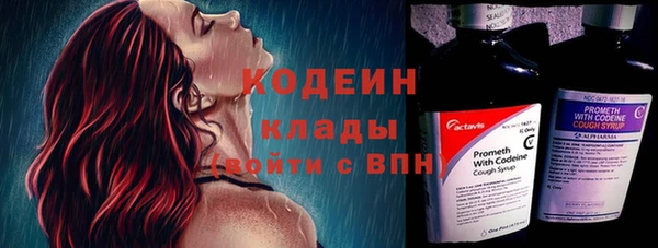 ПСИЛОЦИБИНОВЫЕ ГРИБЫ Дмитриев