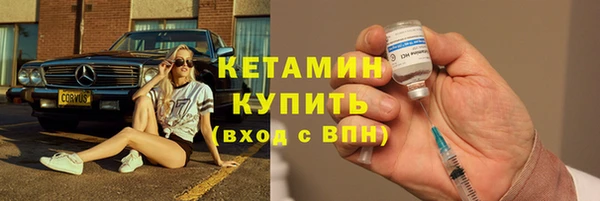 ПСИЛОЦИБИНОВЫЕ ГРИБЫ Дмитриев