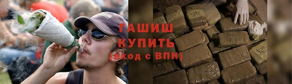мдпв Гусев