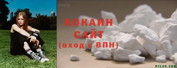 СК Дмитров