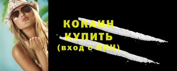 ПСИЛОЦИБИНОВЫЕ ГРИБЫ Дмитриев