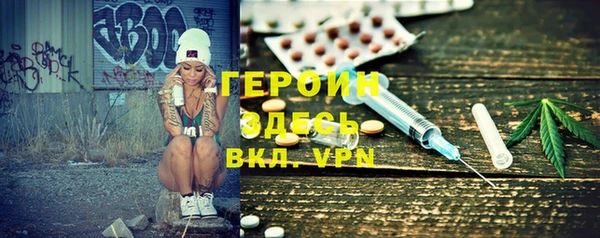 ПСИЛОЦИБИНОВЫЕ ГРИБЫ Дмитриев