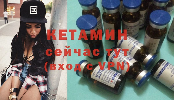шишки Дмитровск