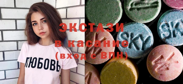 ECSTASY Ельня
