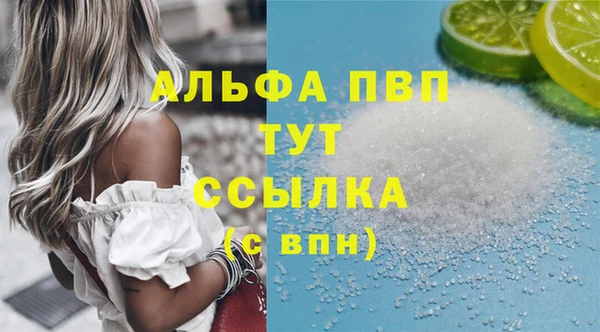 ПСИЛОЦИБИНОВЫЕ ГРИБЫ Дмитриев