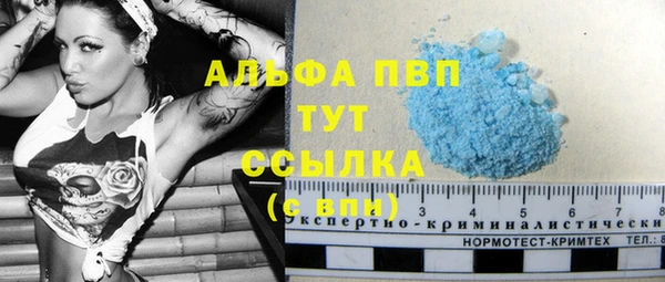 шишки Дмитровск