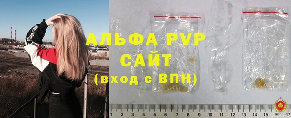 шишки Дмитровск