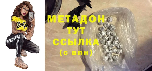 ПСИЛОЦИБИНОВЫЕ ГРИБЫ Дмитриев