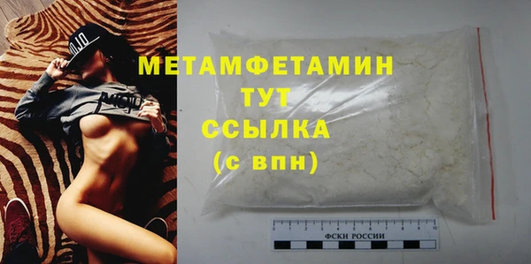 ПСИЛОЦИБИНОВЫЕ ГРИБЫ Дмитриев
