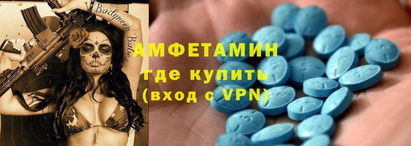 шишки Дмитровск