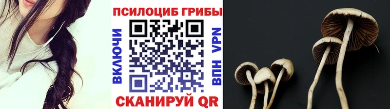 Псилоцибиновые грибы Psilocybine cubensis  MEGA tor  Евпатория 